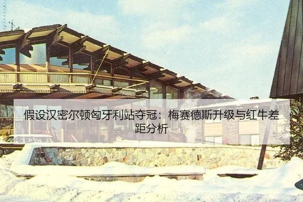 jia-she-han-mi-er-dun-xiong-ya-li-zhan-duo-guan-mei-sai-de-si-sheng-ji-yu-hong-niu-cha-ju-fen-xi-2-619.jpg