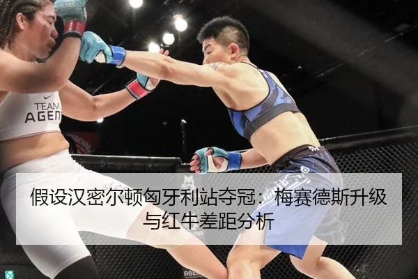 jia-she-han-mi-er-dun-xiong-ya-li-zhan-duo-guan-mei-sai-de-si-sheng-ji-yu-hong-niu-cha-ju-fen-xi-1-233.jpg